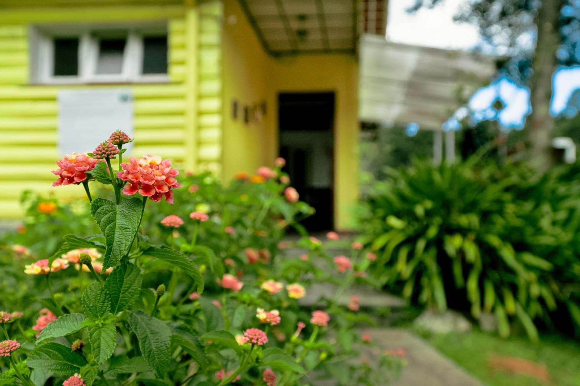 Velinn Pousada Casa De Campos Capivari House Campos do Jordão 외부 사진